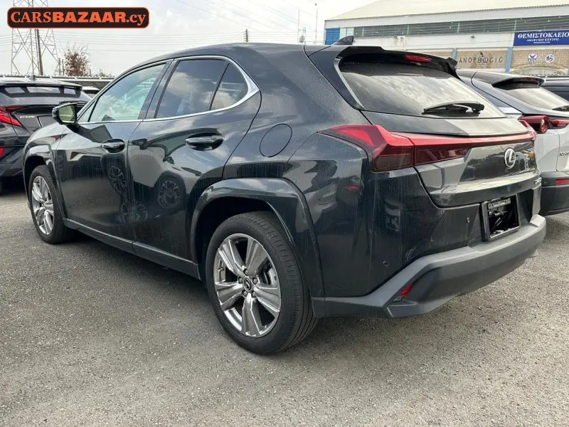 Lexus UX250H  - photo 10