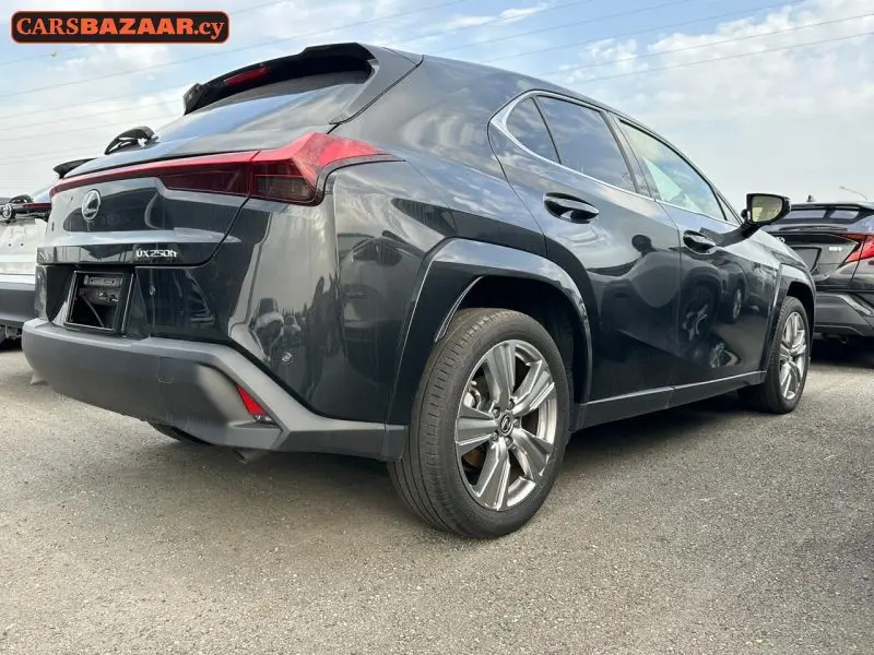 Lexus UX250H  - photo 9